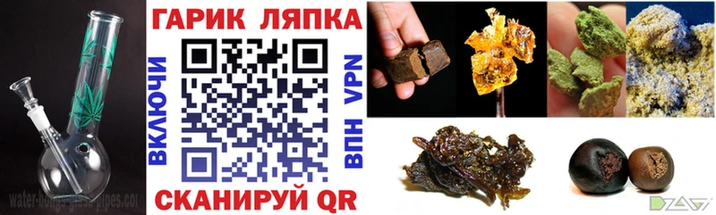 ГАШ Premium  Поворино 