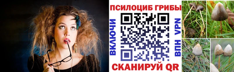 Галлюциногенные грибы Magic Shrooms  где можно купить наркотик  mega ONION  Поворино 